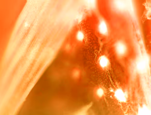 Item #71646257518770613568983710813551014237803002136866425209291833808590773157889 Media