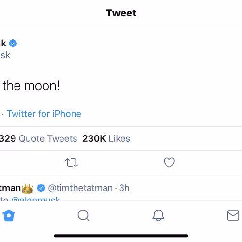 Musk Troll Predicition