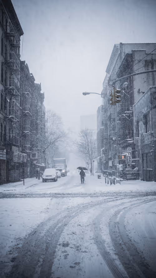 Item #12819158553627544868076531571685730081638998677666379521274269326389391917057 Media