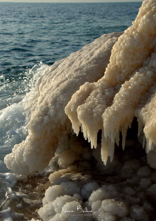 Item #95487849317578156668407947813270977219507958341613575813230836696446576623617 Media