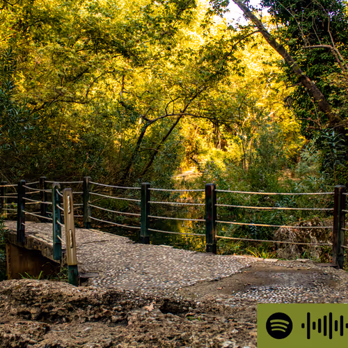 107978139147131831661941634405889412338959910345453465515168770538260140130305