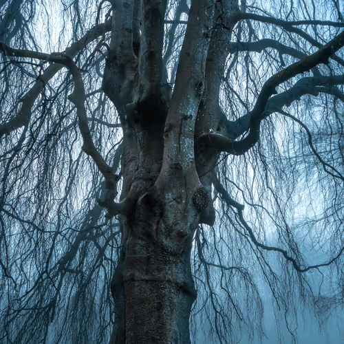 Moodscapes