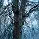 Moodscapes