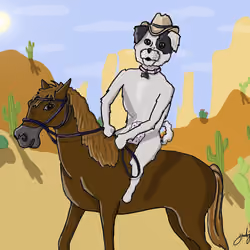 Cirocco the Western Cowgirl