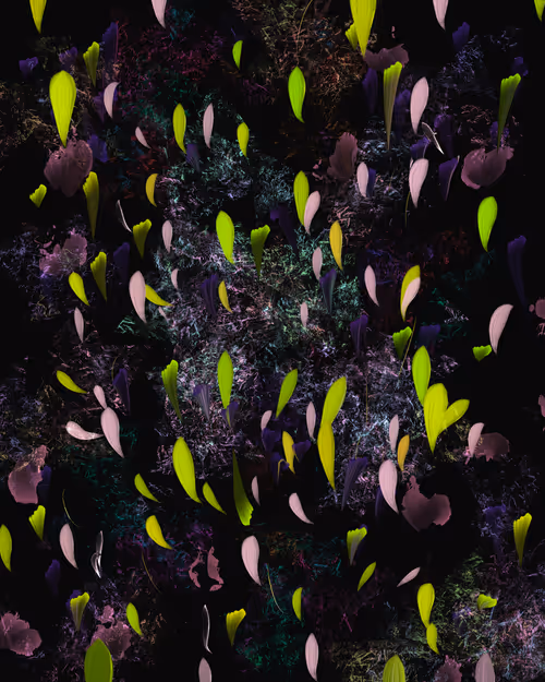 Item #67428853302242778530511456259079558737499986186560837533912873221628276768769 Media