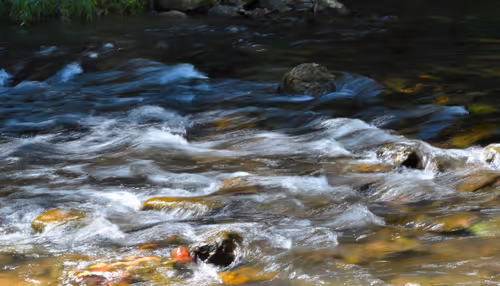 Item #97703427282030741984022634986911983897204836568735072395572896048023722786817 Media