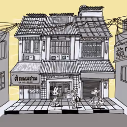 shophouses 
