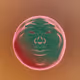 27723625122478912037395420468441174018645746492860930864532062939702842359818