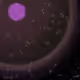 64582080536744971998716657472697058248208589501275408193173311930160222568449