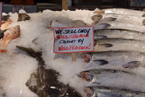 Item #41013704286635162959004487776095067176603519769359421915548602580061644652545 Media