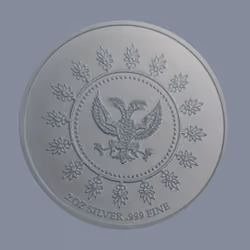 Adjudicator Coin