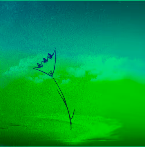 Item #93166365992060983708655465067155961665826407829242903253604474087658091446273 Media