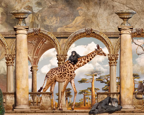 Item #7337919021476473010516080548400524729331282711541534814042146268224224755713 Media