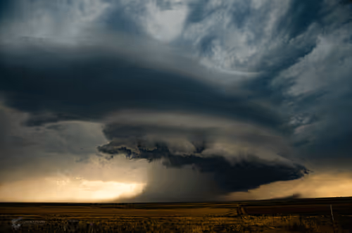 GhostTrainPhoto Collection