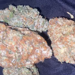 Some nice flowers