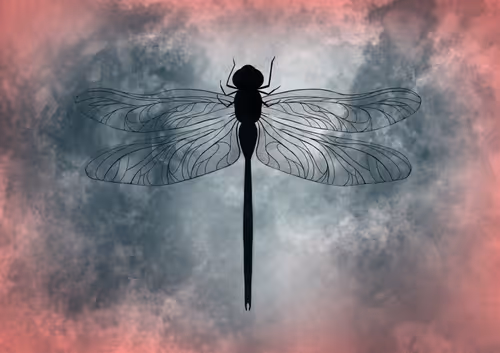 Item #92696541682472785728642999986101399050442314762471941953043121419665981571073 Media