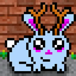 49282415557808999487403279438056491806773393727538746376284440508024349523969