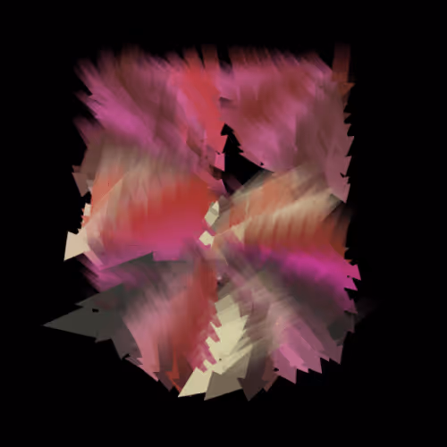 Homo Scriptus: collection Printemps de la typographie 2022
