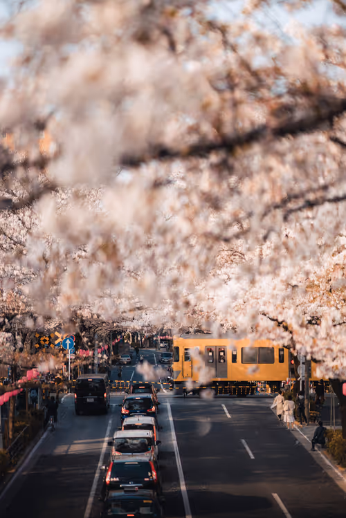 Item #84492978198119788081858584857369630260874381154171846651703266102793453174785 Media