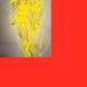 16389052215363404211130095192989098997734668737640810601338510313341132472321