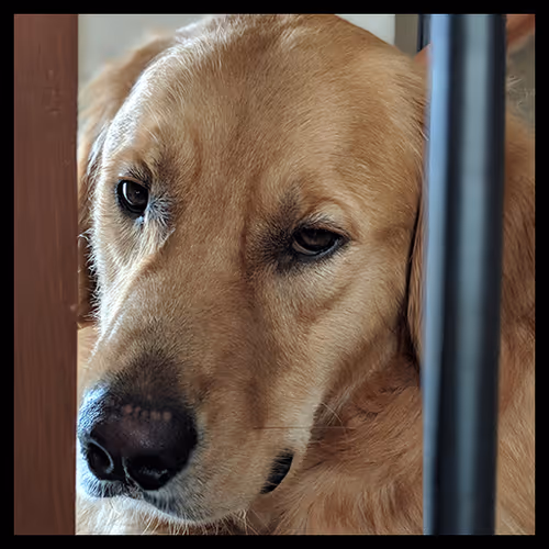 Item #106495276592435919470568425369488009874844936823784433162656833194057151807489 Media