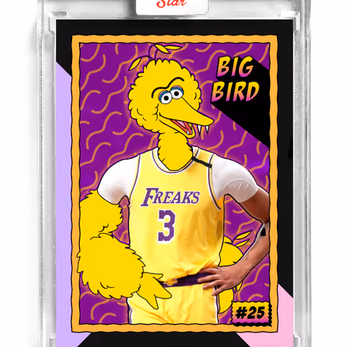 Big Bird (#25)