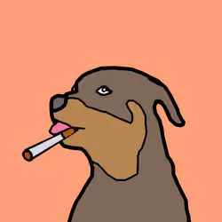 CryptoSami #171