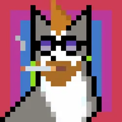 62168504076115430859234444635298500101509624834746629252646165281557037711361