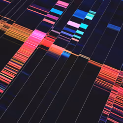 Disco Path #003