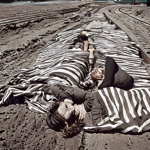 Item #73301704533666751335196021622514792145035649100750988773961168154959101820929 Media