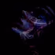 112947744980758394842242124033343697121947599285927774694765820154152191262721