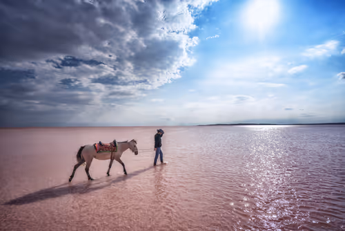 Item #103012301657456598627464593711191492996341926608798375780323323146104316362753 Media