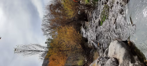 Item #15854051345547538940358171864260483403009845531481112667415573948220091400193 Media