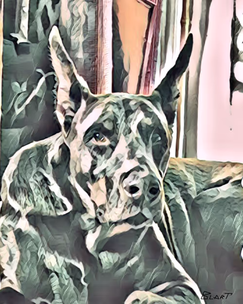 Item #100912189096696144949180120692345760590440403347893883972252148251566238859265 Media