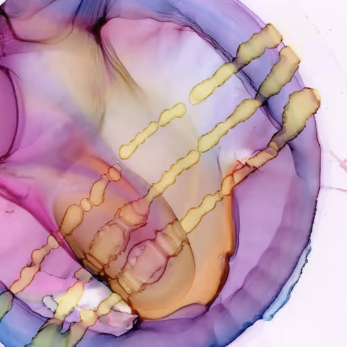 Item #29520418552145809798583464197808626937236403153754494126203225234099885047852 Media