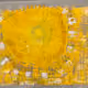 69022106340810268909017362139485089601806082353102342156355217722524171239425