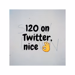 120 Followers on Twitter
