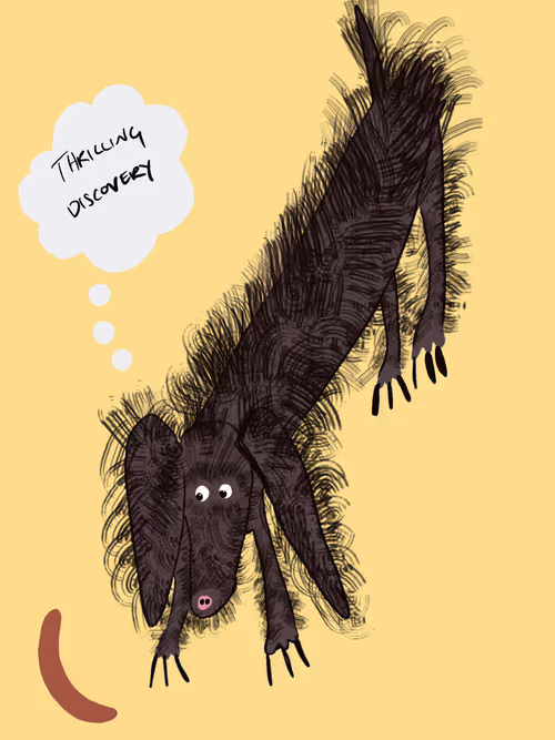 Item #8190719571610145789568542506567364700647027859008357845740195084994258927617 Media