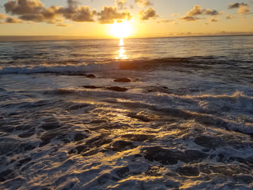 Item #36797478990227503802515544271343238965940869473164843468653790186549788278785 Media