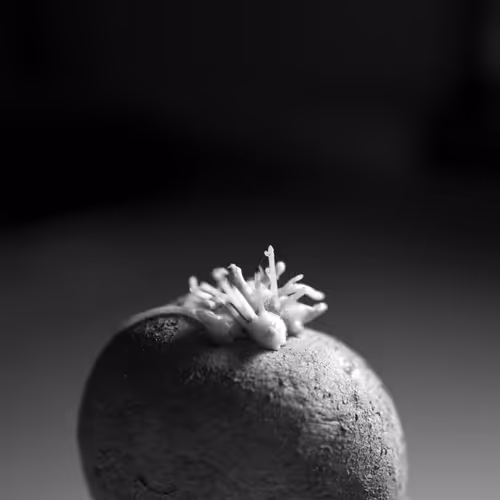 Item #106002847208740868609833758564864100377070191956822007780539651997952381026305 Media