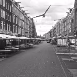 40449787652065743018640773044495240111019622512701765753694832588236441780225