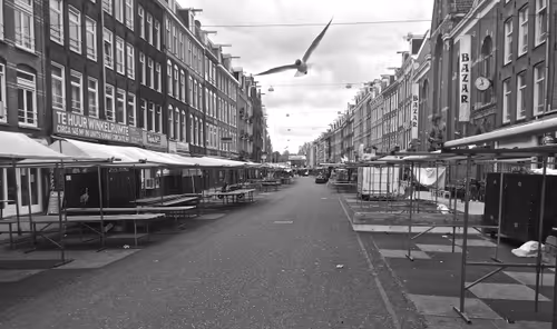 Item #40449787652065743018640773044495240111019622512701765753694832588236441780225 Media