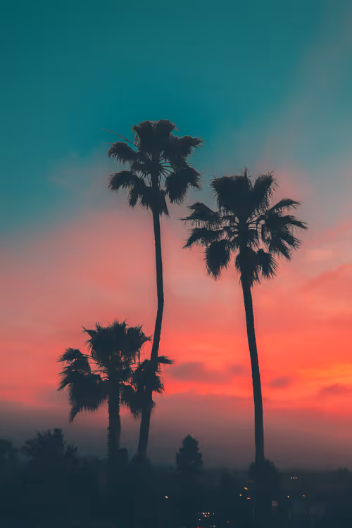 Item #35557780727049604459658880725917592814256363748111026780455796791488964198401 Media