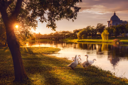 Item #94729080485503513708329965317332491879903775520225674536844109497305955041281 Media