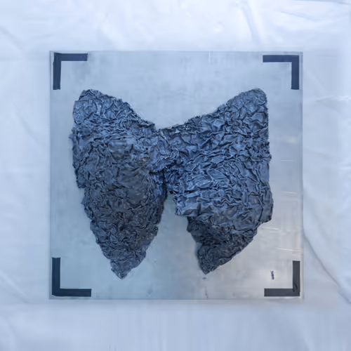 Item #95436732890979525024244817414416394684744946412133006336000343151679891308545 Media