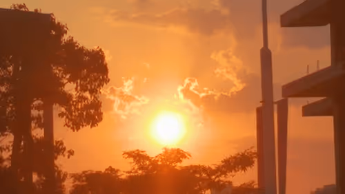 zhengxiang Collection