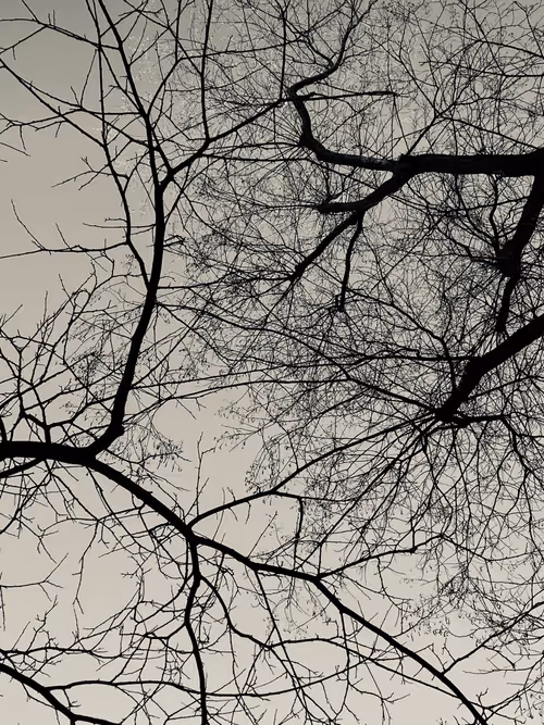 Item #69928148874490885879097014745711174994198172534548599565263913987306449534977 Media