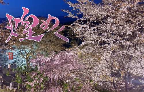 Item #102967229630208760737688806604411354727385978550035448281008295690538642833409 Media