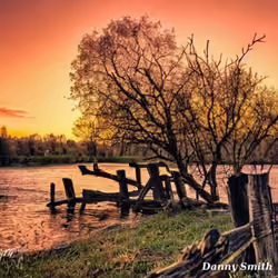 River's End: The Old Tree at Dusk