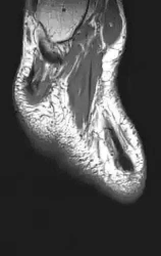 11780915356901891937150191052604117223978980698243640119023280870675913375745